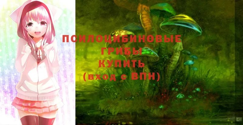 Галлюциногенные грибы MAGIC MUSHROOMS  Ак-Довурак 